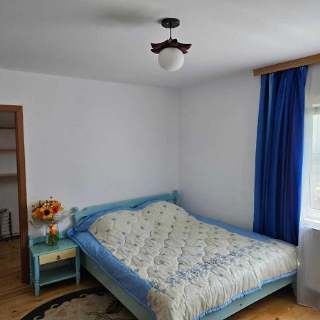Muzicii 11 - Cozy Seaside Apartments Năvodari Εξωτερικό φωτογραφία