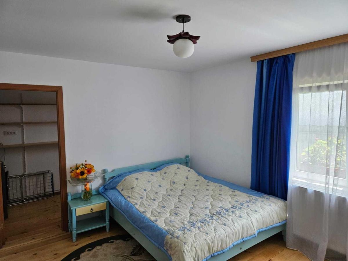 Muzicii 11 - Cozy Seaside Apartments Năvodari Εξωτερικό φωτογραφία